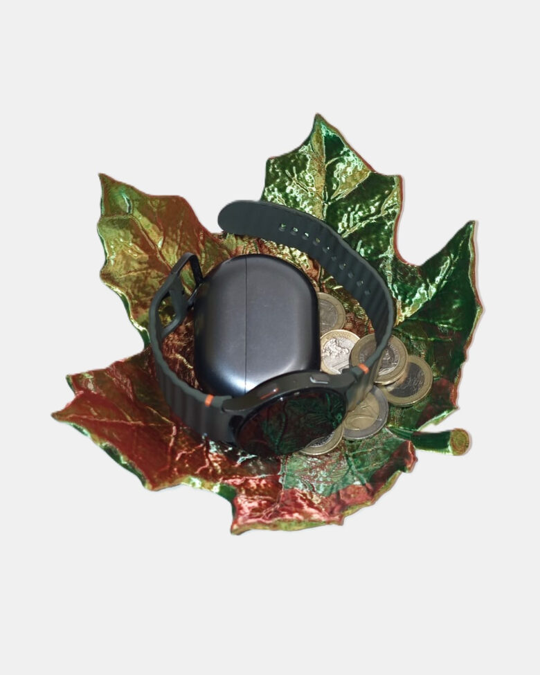 Kļavu lapas trauks (sīkumiem)