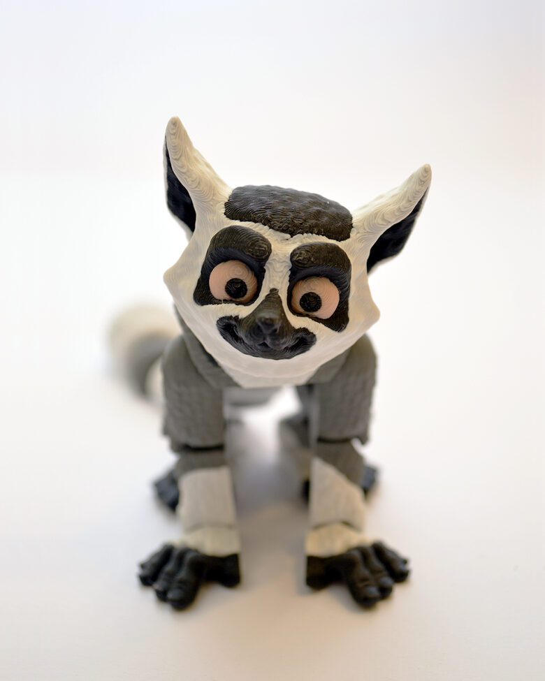 Lemurs 