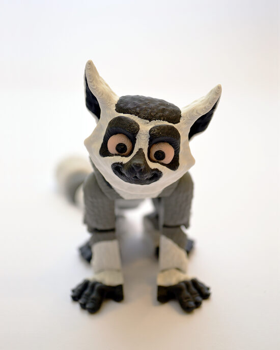 Lemurs 