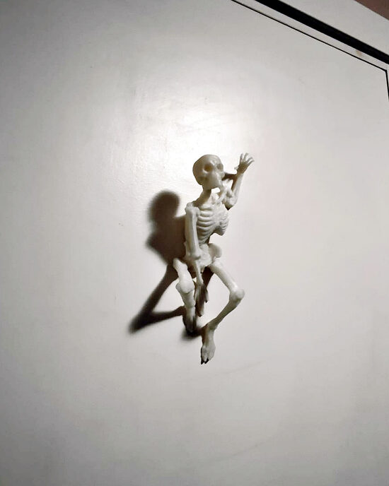 Atstarojošs durvju dekors - skelets