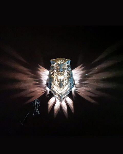 Gaismas staru sienas lampa - nakts pūce