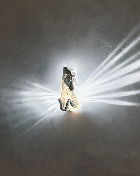 Gaismas staru sienas lampa - pegazs