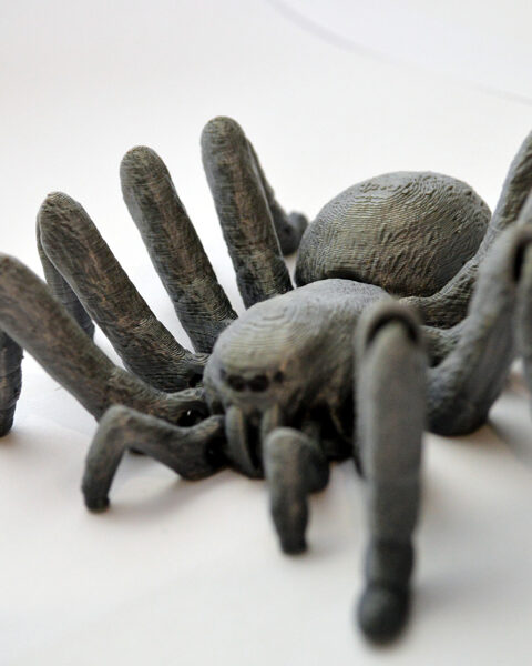 Tarantula (kustīga)